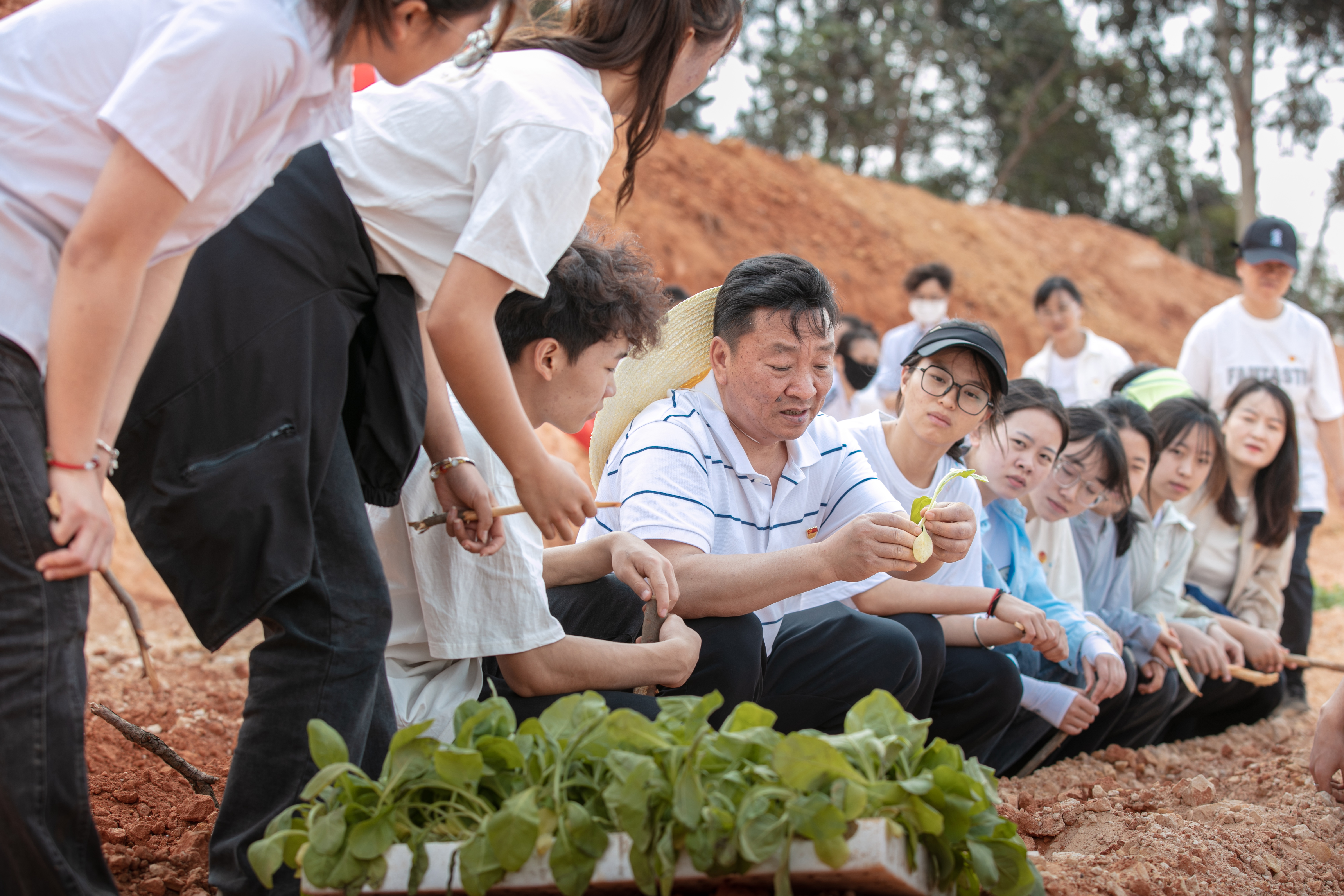 1農(nóng)林2024 (2).jpg