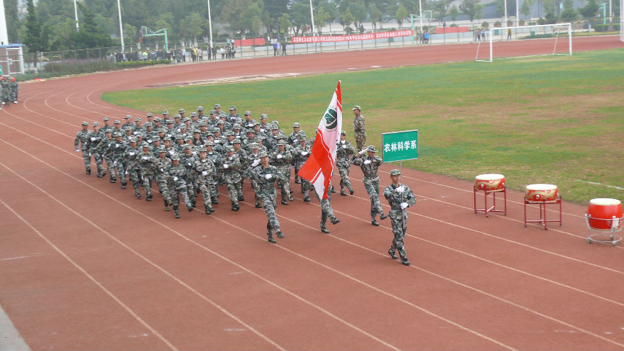 P1750130.JPG