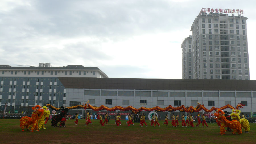 P1750193.JPG